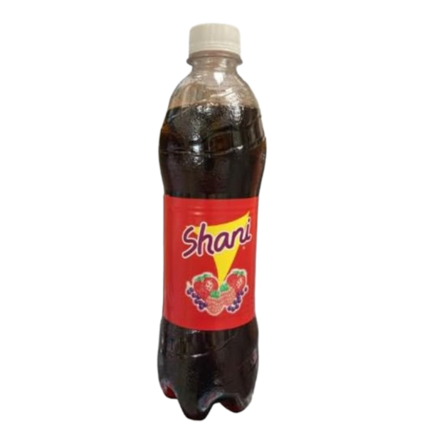 Drinks Shani NPM 500ml 12