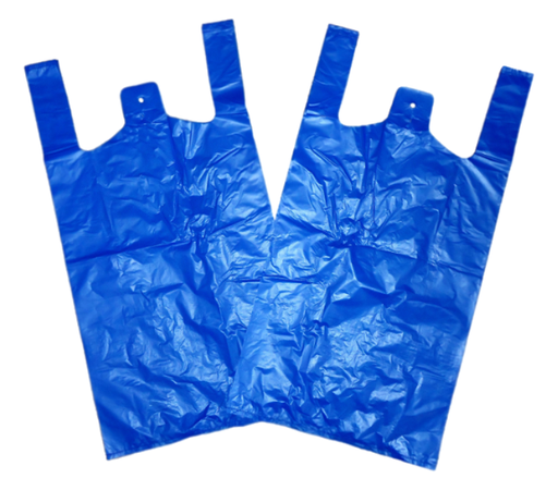 [Carr-All-SE-4352] Carry Bags Small-Bottle Blue NPM 2000s 1