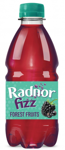 [Drin-All-SE-6052] Drinks Radnor Fizz 45 Percent Sparkling Forest Fruits NPM 330ml 24