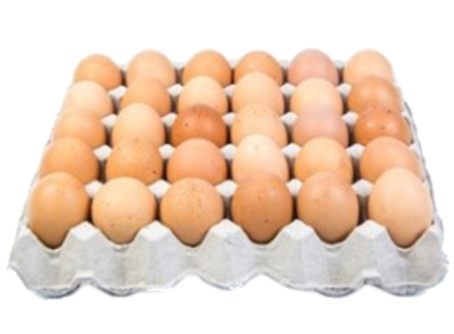 [Groc-All-SE-6383] Groceries Grocery Marshwood Eggs NPM 30s 8